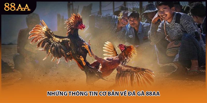 Những thông tin cơ bản về đá gà 88AA